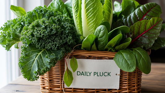 What Makes Daily Pluck the Best Place to Buy Exotic Produce in Kanpur?