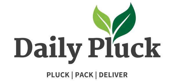 Daily Pluck