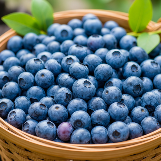Blueberry