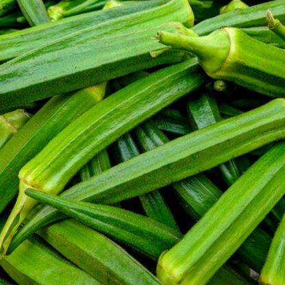 Lady Finger (Bhindi)