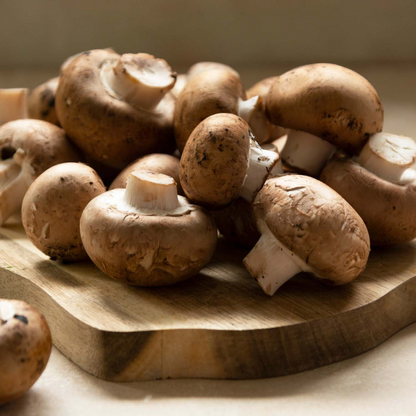 Mushroom