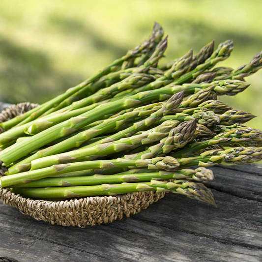 Asparagus Bunch
