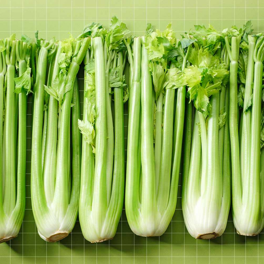 Celery