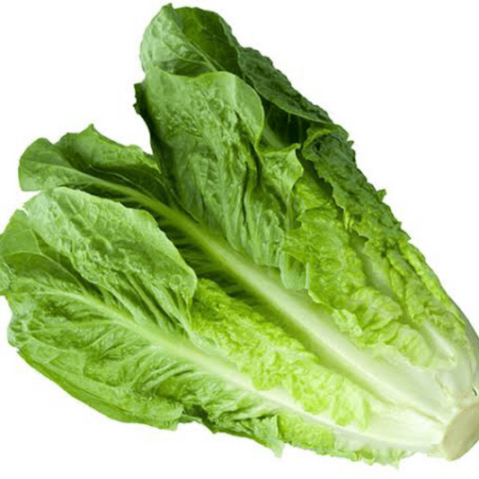 Green Lettuce