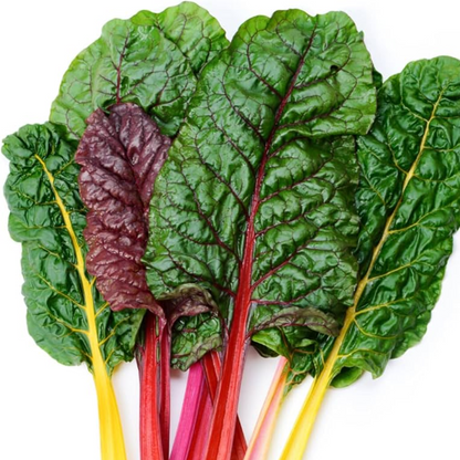 Swiss Chard