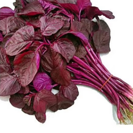 Red Amarthus( Lal Chaulai)