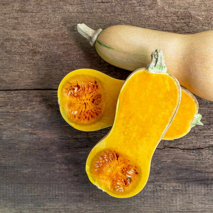 Butternut Squash