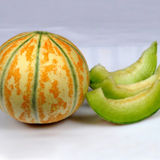 Muskmelon (Kharbuja)
